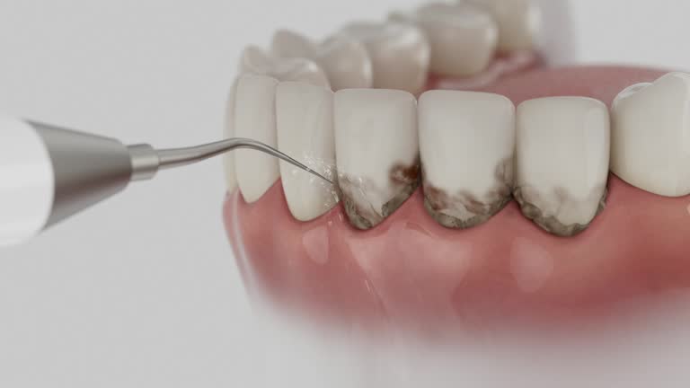 Reliable Dental contractor in Paris, MO by Dentist Open Now